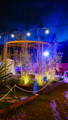 Landscaping display dressed in flora and illuminated by garden lighting