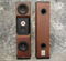 Tyler Acoustics D20's in ribbon mahogany! weekend special! 2