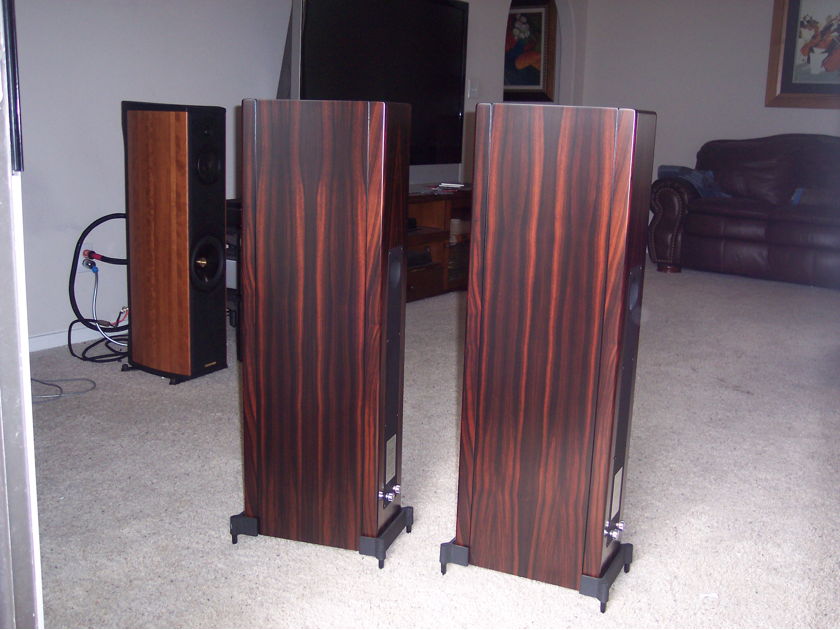 Vienna Acoustics  Beethoven Baby Grand  Speaker-Very Musical!!