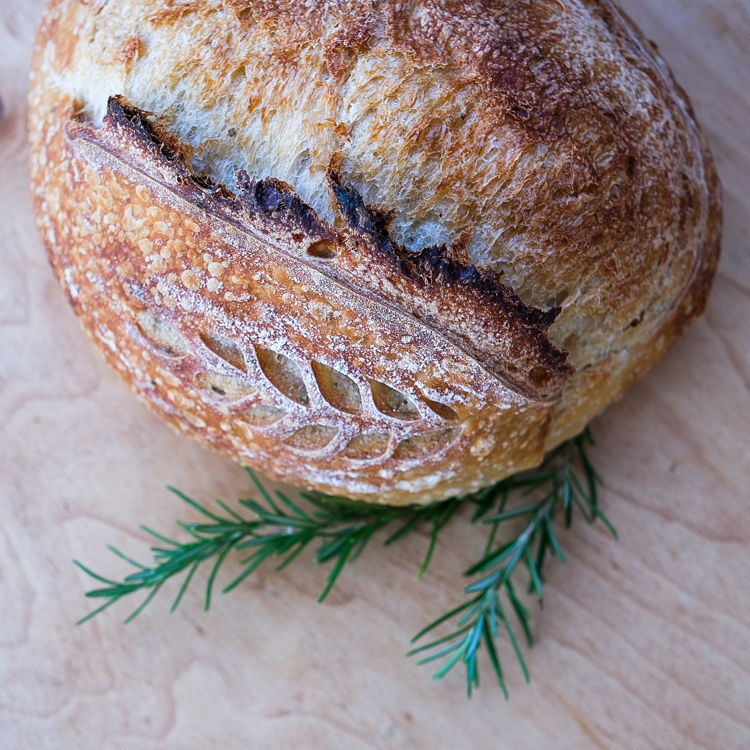 Christina’s Crumb | organic sourdough — photo from hotplate.com