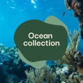 Ocean collection
