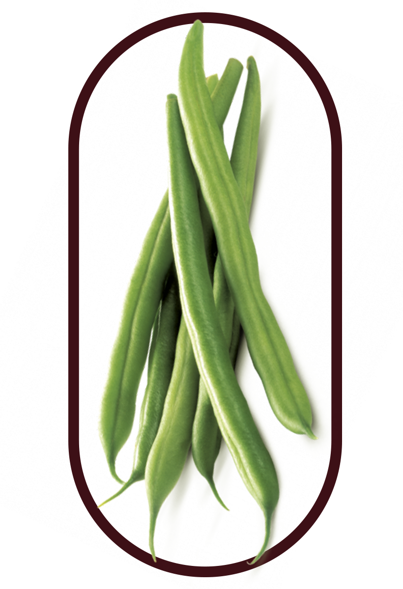 Several pieaces of French Beans, 1 of 5 ingredients in the Best Weight Loss Pills Singapore