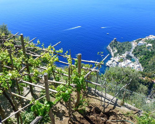 Cooking classes Praiano: Amalfi Flavors: Cooking, Tradition & Stunning Views