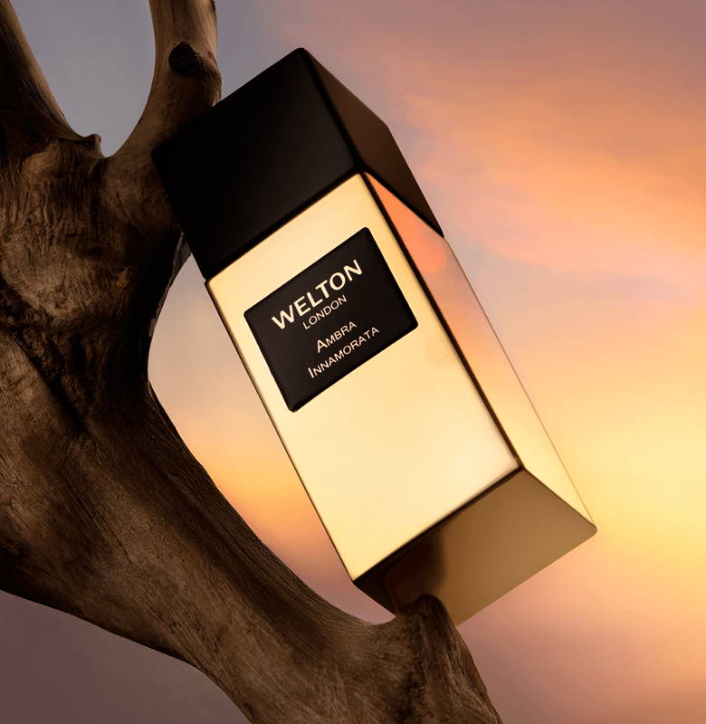 Ambra Innamorata, new Welton unisex perfume extract in a refillable bottle, displayed on a branch by the sea during golden hour, with a luminous mauve and golden sky, evoking an amber marine fragrance inspired by the beauty of the coast.