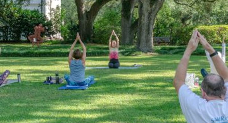Yoga with a Vue