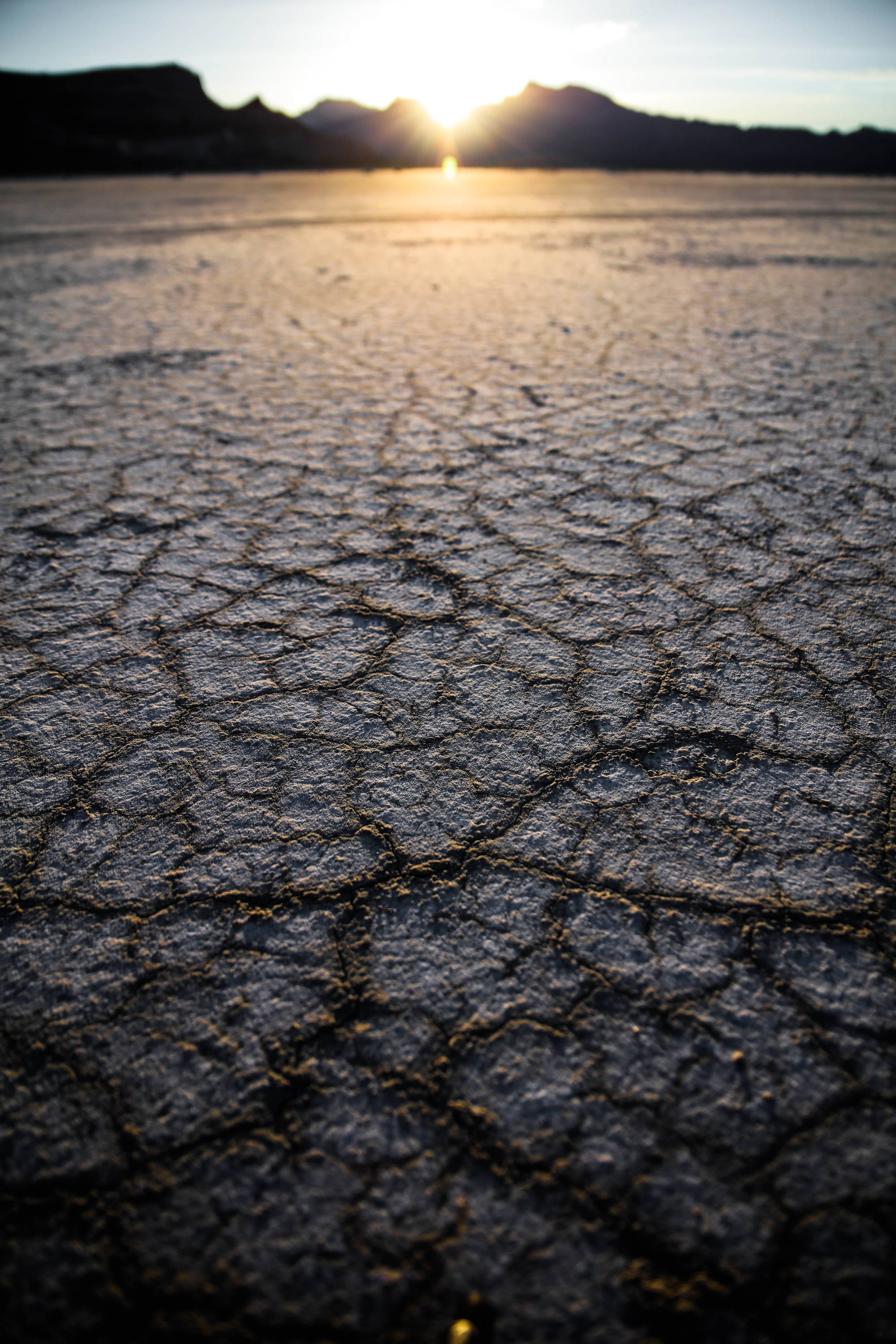 The US Supreme Court ruled against the Environmental Protection Agency (EPA) and essentially declared that the Obama administration’s Clean Power Plan transcended the Environmental Protection Agency’s authority under the Clean Air Act, therefore limiting the EPA’s power to regulate and monitor carbon emissions that cause climate change