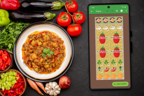 A plate with a curry dish surrounded by fresh vegetables and a tablet showing the Planter app