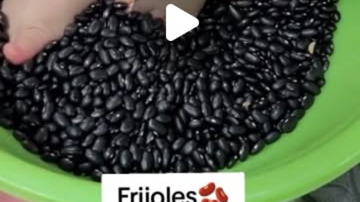Main Content Image
