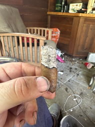 Cigar Session Photo