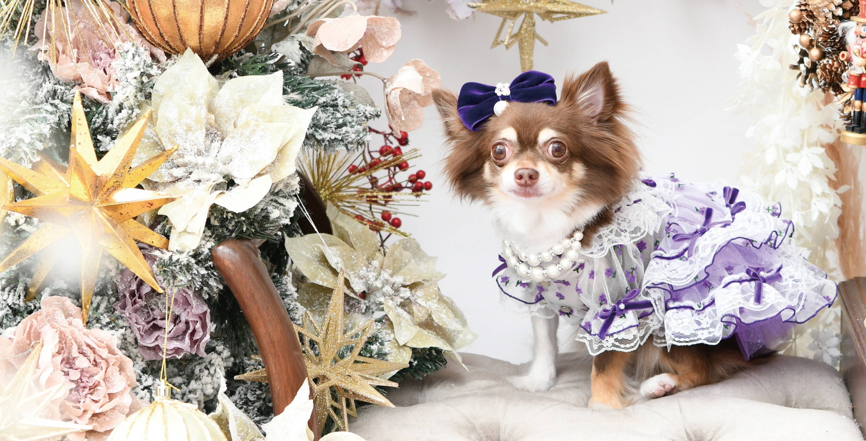 リュクスバーディ　クールクールタンク　ブルー Luxebirdie（リュクスバーディ）|小型犬とのリュクスな生活を楽しむ