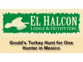 Gould's Turkey Hunt for One Hunter in Mexico by El Halcon Lodge & Outfitters