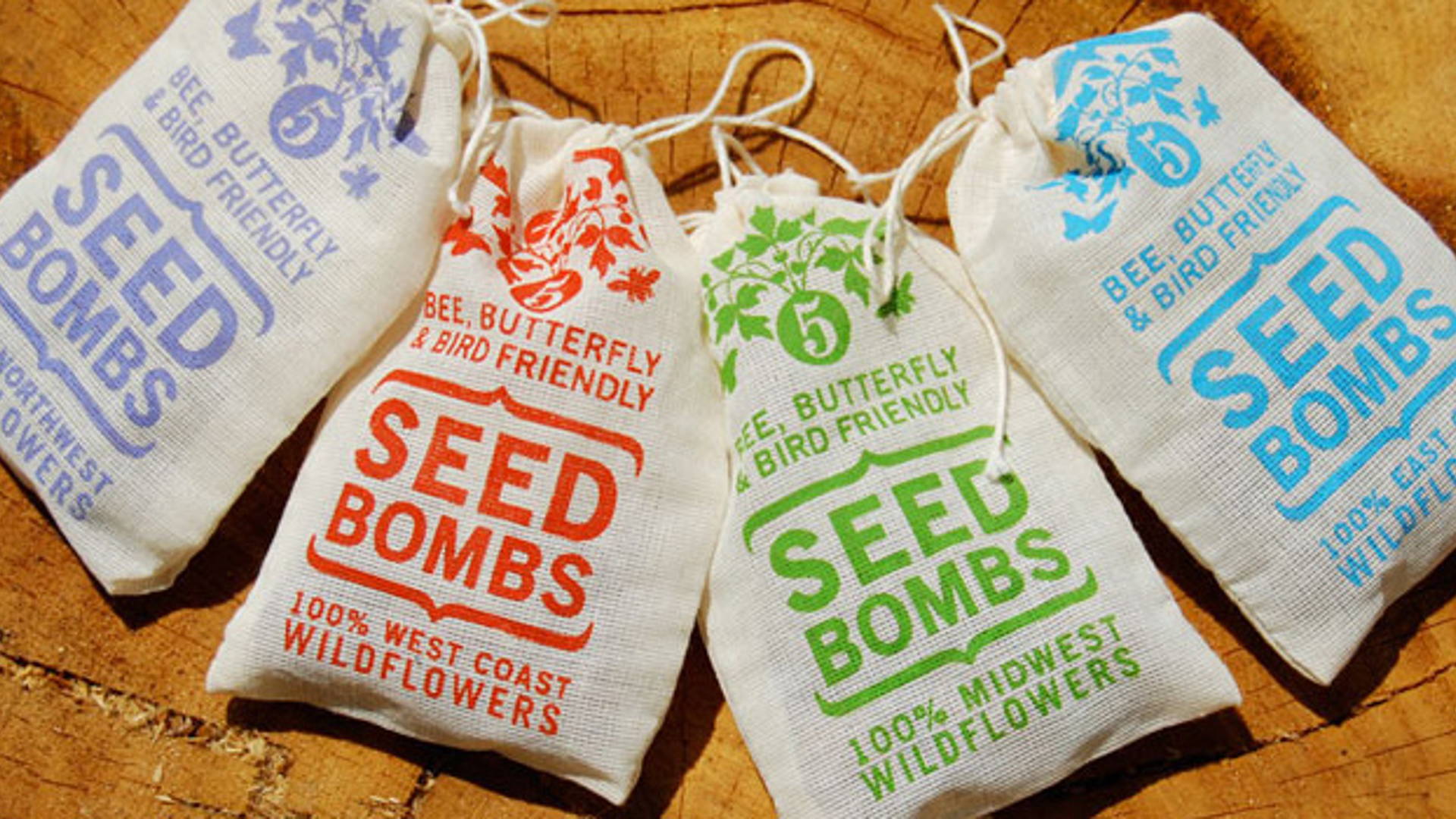 Featured image for Seed Bombs 