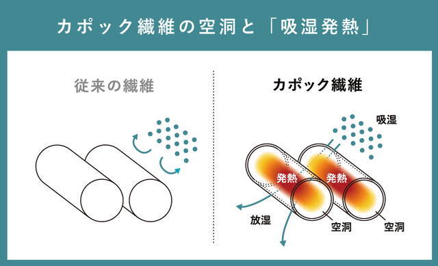 暖かく、温もりを感じる木になるダウン「カポック」