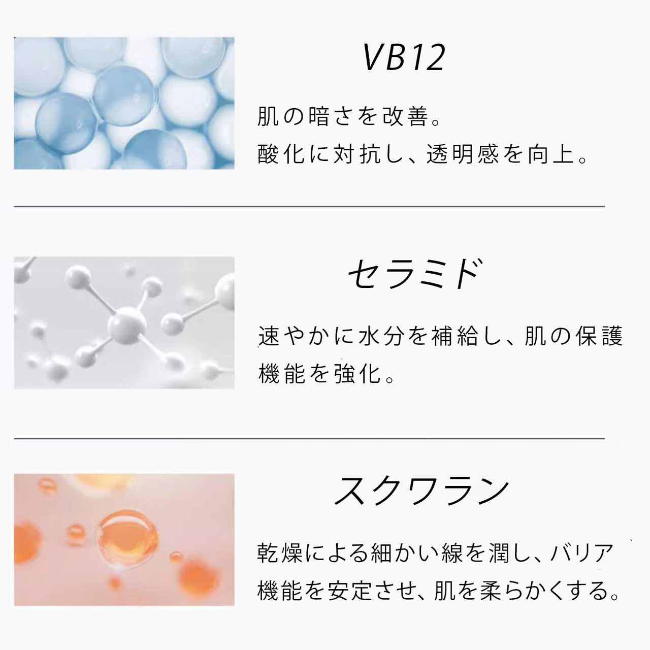 VB１２