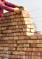 Align Your Body & Life via The Align Method -