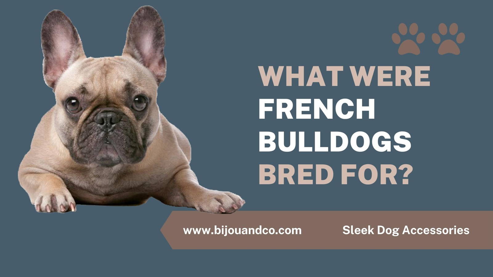 what were french bulldogs bred for