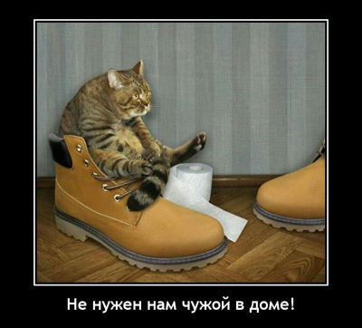 Не нужен нам чужой в доме!