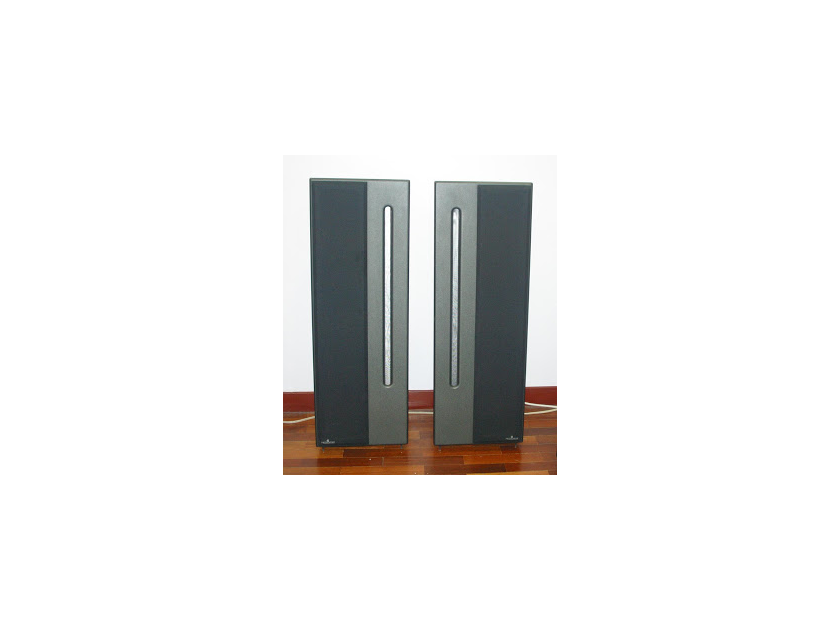 Apogee Acoustics Centaur Major pair (Silver Grey)