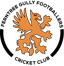 Ferntree Gully Footballers CC logo