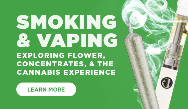 Discover more! Smoking and Vaping