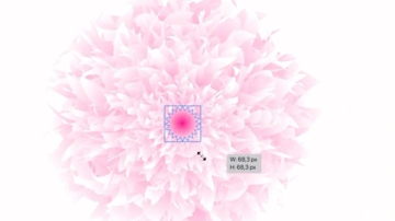 Main Content Image