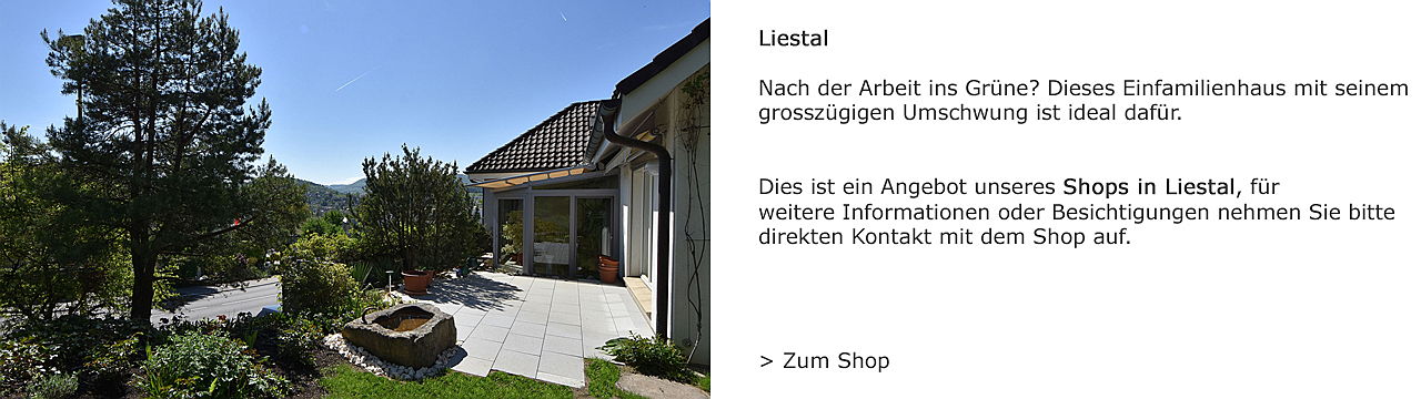  Zug
- Einfamilienhaus in Liestal
