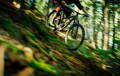 Mountainbike op volle snelheid gelanceerd tijdens een uitstapje in het bos.