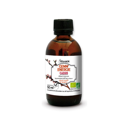 Gemm' Energie - Cassis