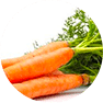 fastblast daily essentials contain organic carrots