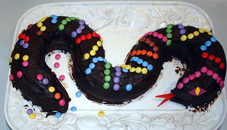 aquazoo düsseldorf geburtstagskuchen in schlangenform