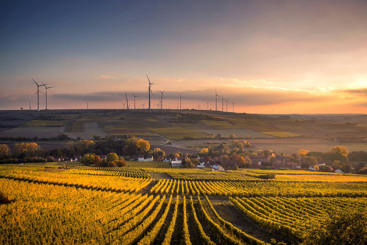 Vignobles valaisans en Suisse – œnotourisme