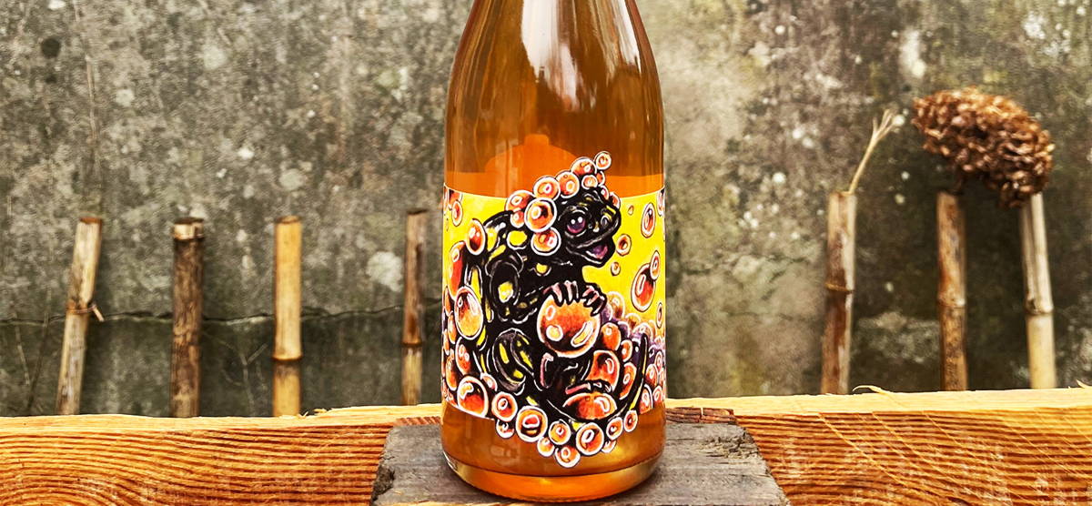 France, vin nature, rawwine, organic wine, vin bio, vin sans intrants, raizin brut, vin rouge, vin blanc, rouge, blanc, nature, vin propre, vigneron, vigneron indépendant, domaine bio, biodynamie, vigneron nature, cave vin naturel, cave vin, caviste, vin biodynamique, raizin brut, Quimper, Finistère 