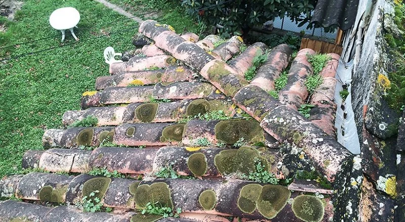 Rénovation de la couverture en tuiles romanes à Menton — photo 10 sur 34 — CEG TOITURE