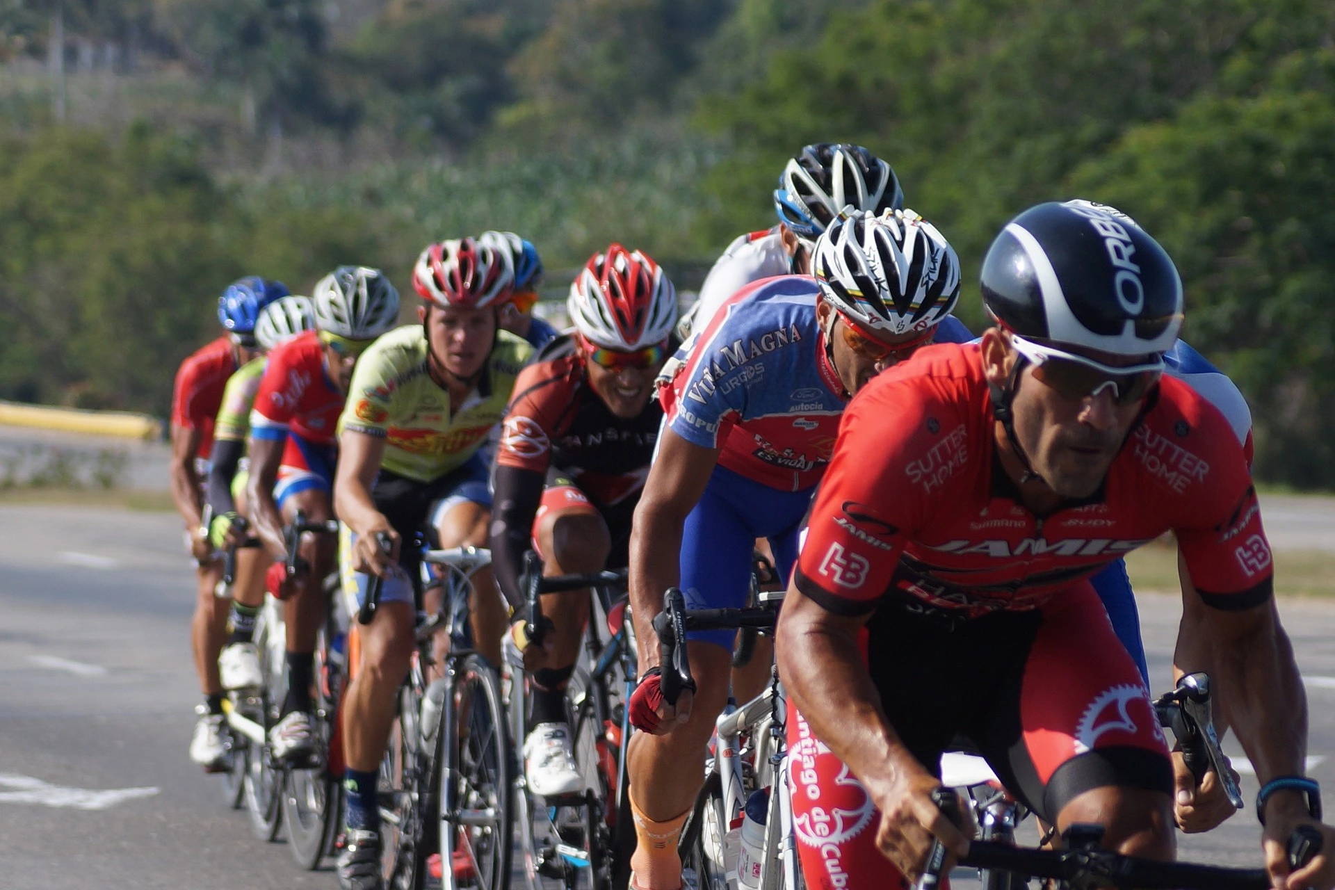 Vitesse cycliste pro sale