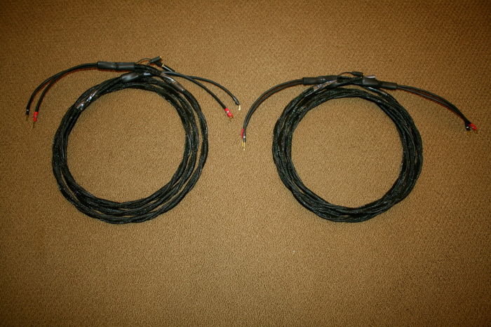 Synergistic Research Element Tungsten 10FT Speaker Cables