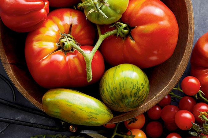 Nos conseils pour optimiser votre récolte de tomates