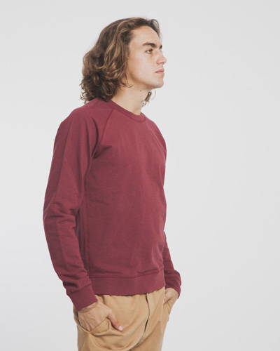Man wearing burgundy organic cotton sweatshirt with brown chinos