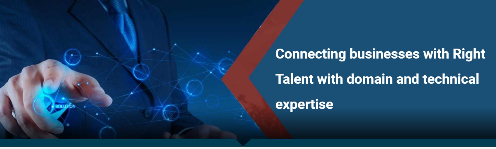 Triunity Software product / service