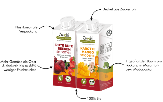 Bio Gemüse Obst Smoothie mit Ingwer