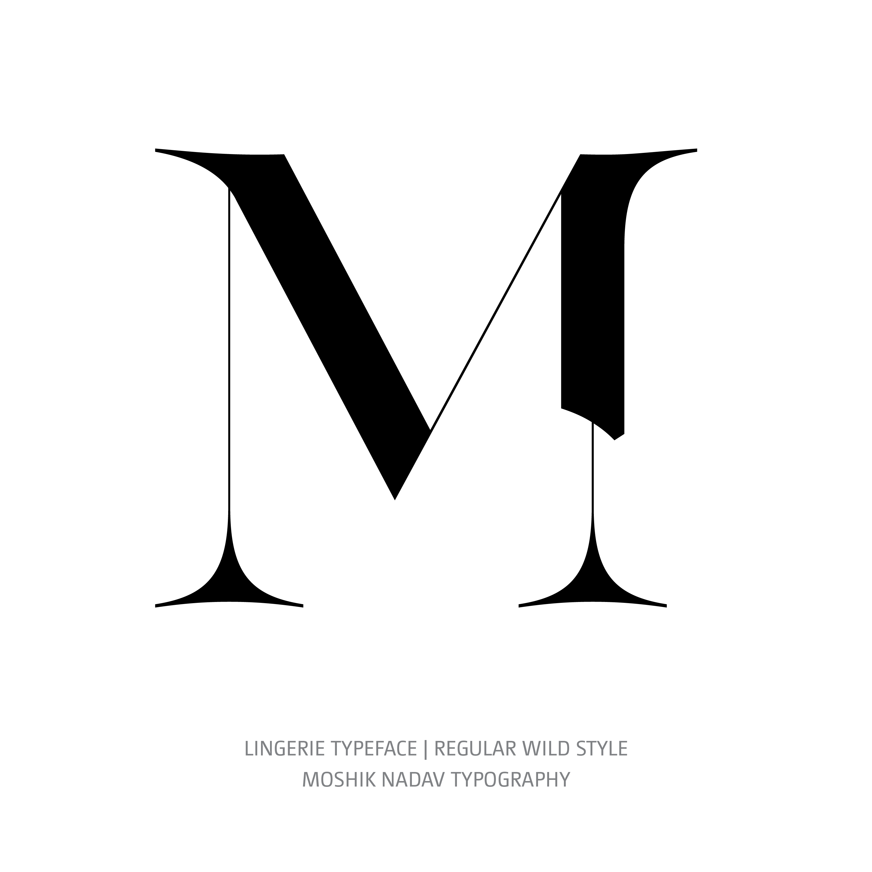 Lingerie Typeface Regular Wild M