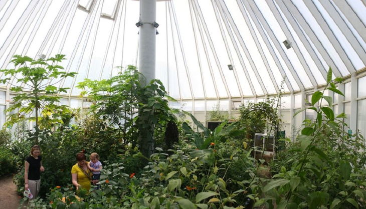 zoo krefeld schmetterlings dschungel