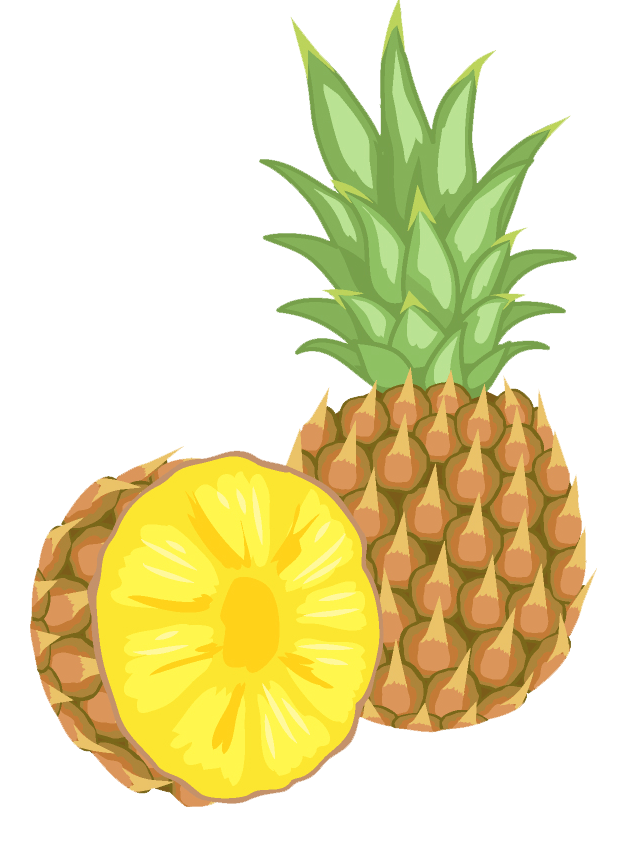 Healthy Joints xena nutrition ingredient bromelain pineapple extract icon
