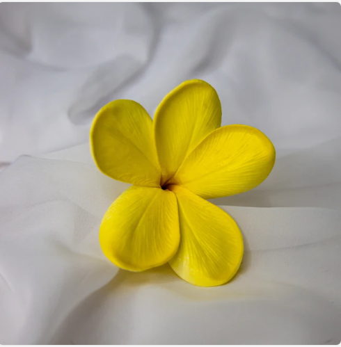 Sunburst Frangipani Flowerhead (6 Pack) - Realistic Artificial Flowers - Image 3