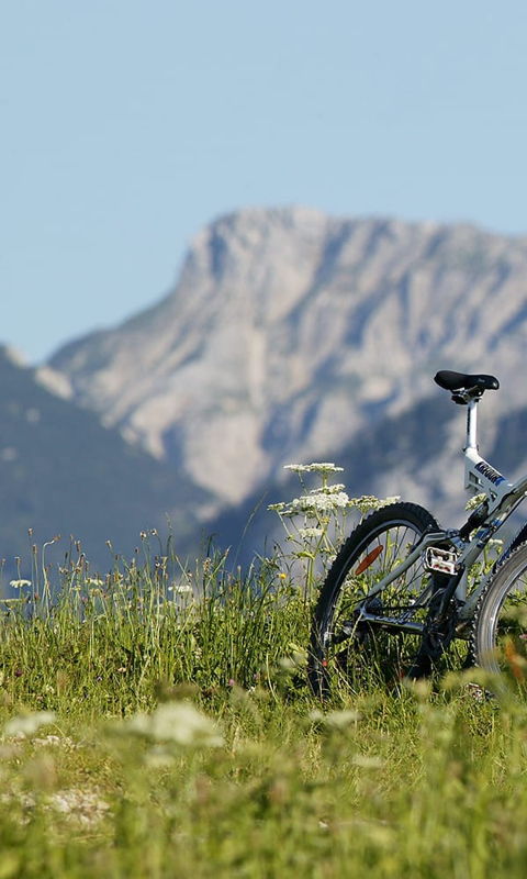 Radfahren im Urlaub: Passende Pension in Pfronten buchen
