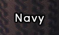 Navy Color Swatch