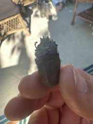 Cigar Session Photo