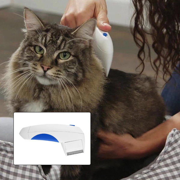 Pet Cat Dog Electric Terminator Brush - Image 5