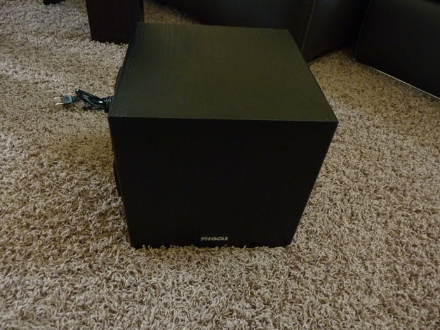 Pinnacle Baby Boomer Subwoofer