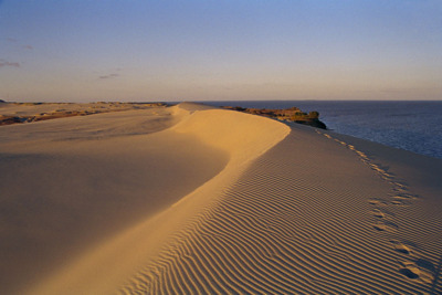 Долгая дорога в дюны