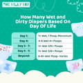 How many wet and dirty diapers per day  | The Milky Box